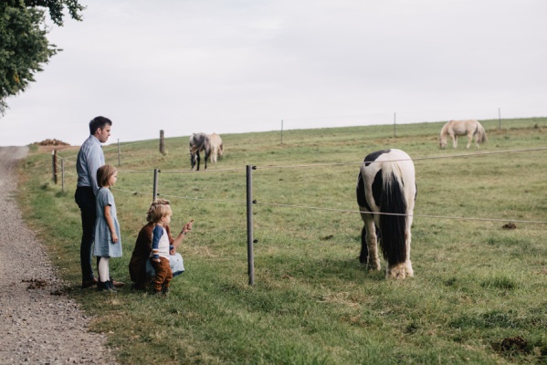 Familienfotos mit Pferden - Ranch - Odenwald – Foto 1