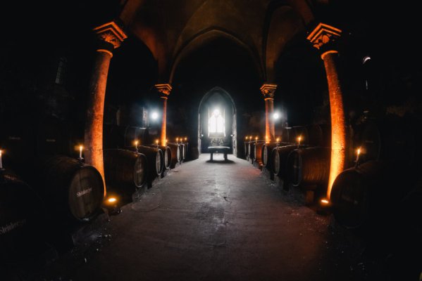 Hochzeit im Kloster Eberbach in Eltville am Rhein – Foto 46